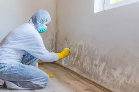 Mold Remediation for Rental Properties in Lake Forest, IL